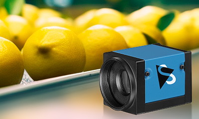 Computer-Vision-Based Fruit Grading System Increases Throughput 6-Fold