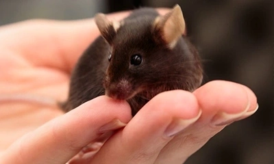 人工智能革命: 无标记姿态撷取技术颠覆影片录像