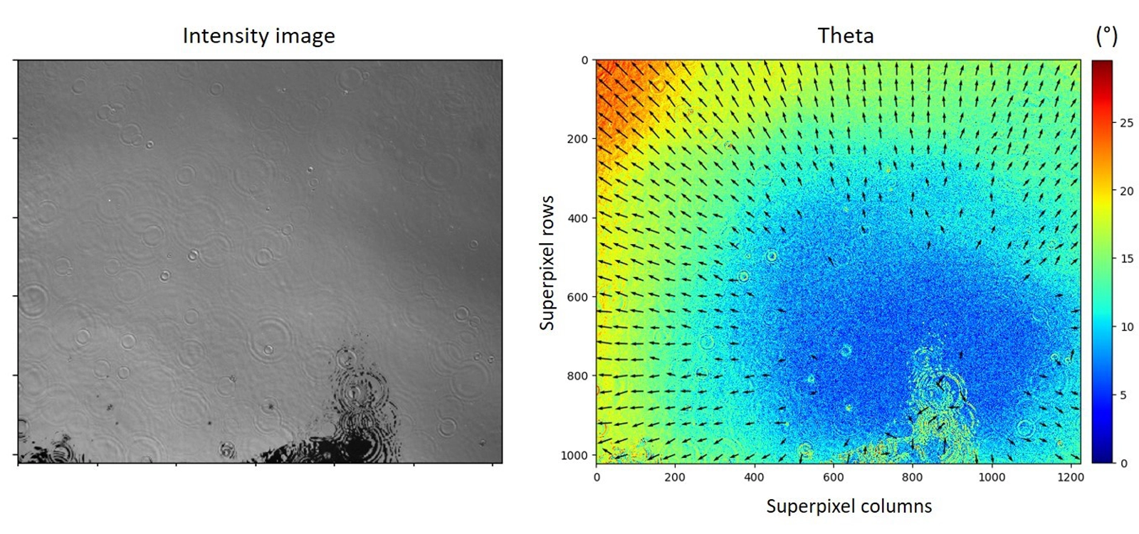 Left: Gray scale image of a Polarsens image taken over the water surface. Right: Theta angle between the surface normal and the visual vector derived from the Polarsens measurements. The arrows are the orientation of the surface normal projected into the image plane.