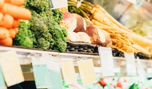 Handel und Bankwesen