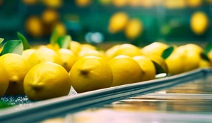 Qualitätskontrolle und Sortierung Qualitätskontrolle und Sortierung