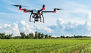 Field Monitoring