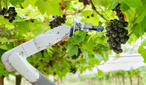 Automated Harvesting