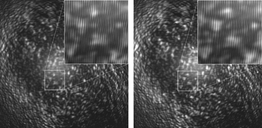 Holograms of a biological sample imaged with the DMK 72BUC02 displaying typical interference pattern.