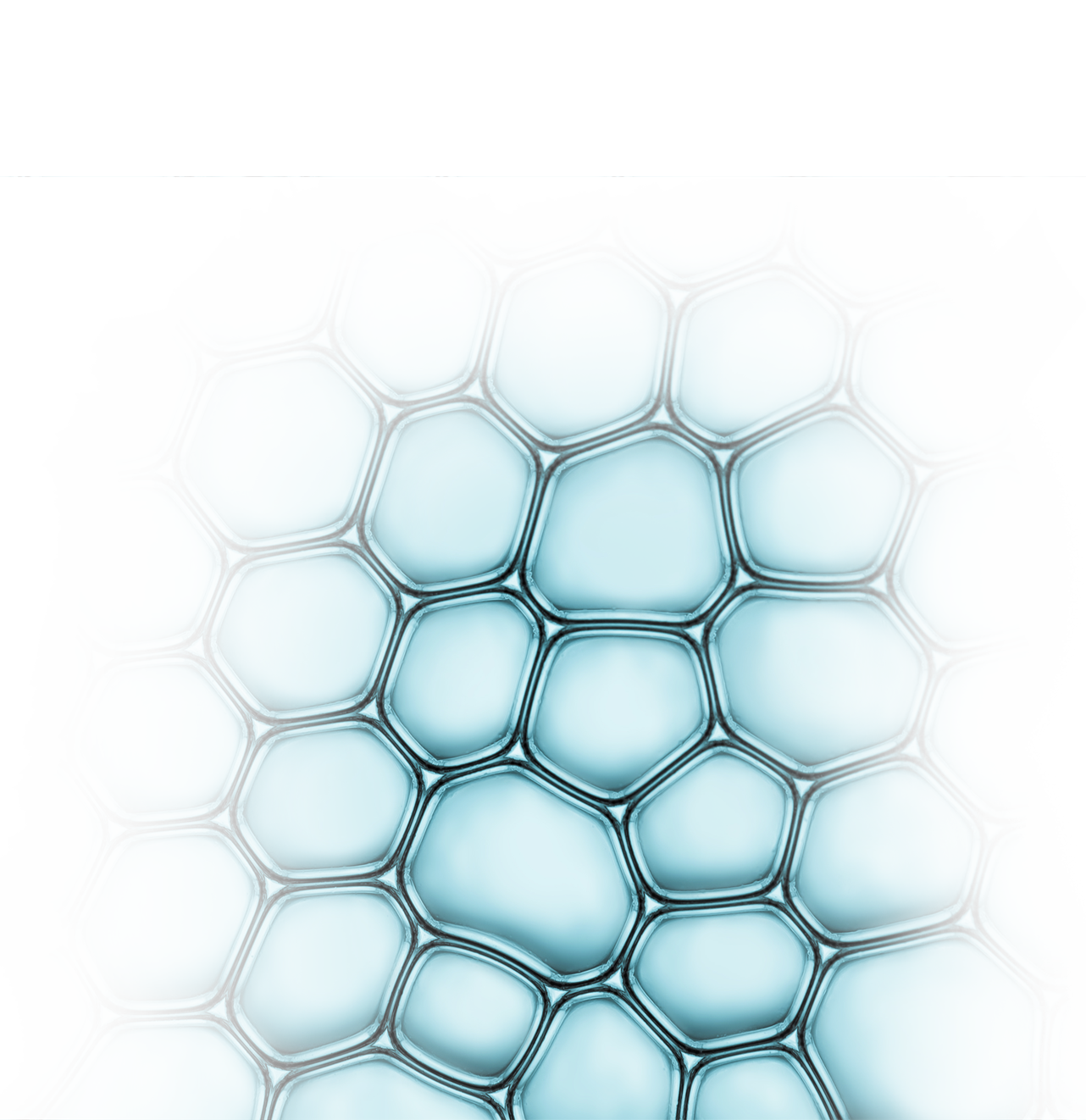 Microscopy Microscopy