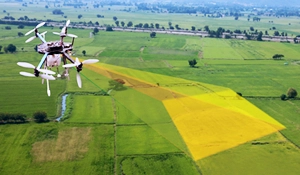 Drohnen- und Luftbild-Erntegutuntersuchung Drohnen- und Luftbild-Erntegutuntersuchung